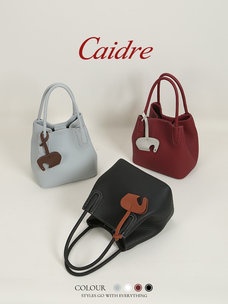 Caidre Luxe Tote Bag 2026 Nieu - Luxury Bags In Japan recensie en prijs